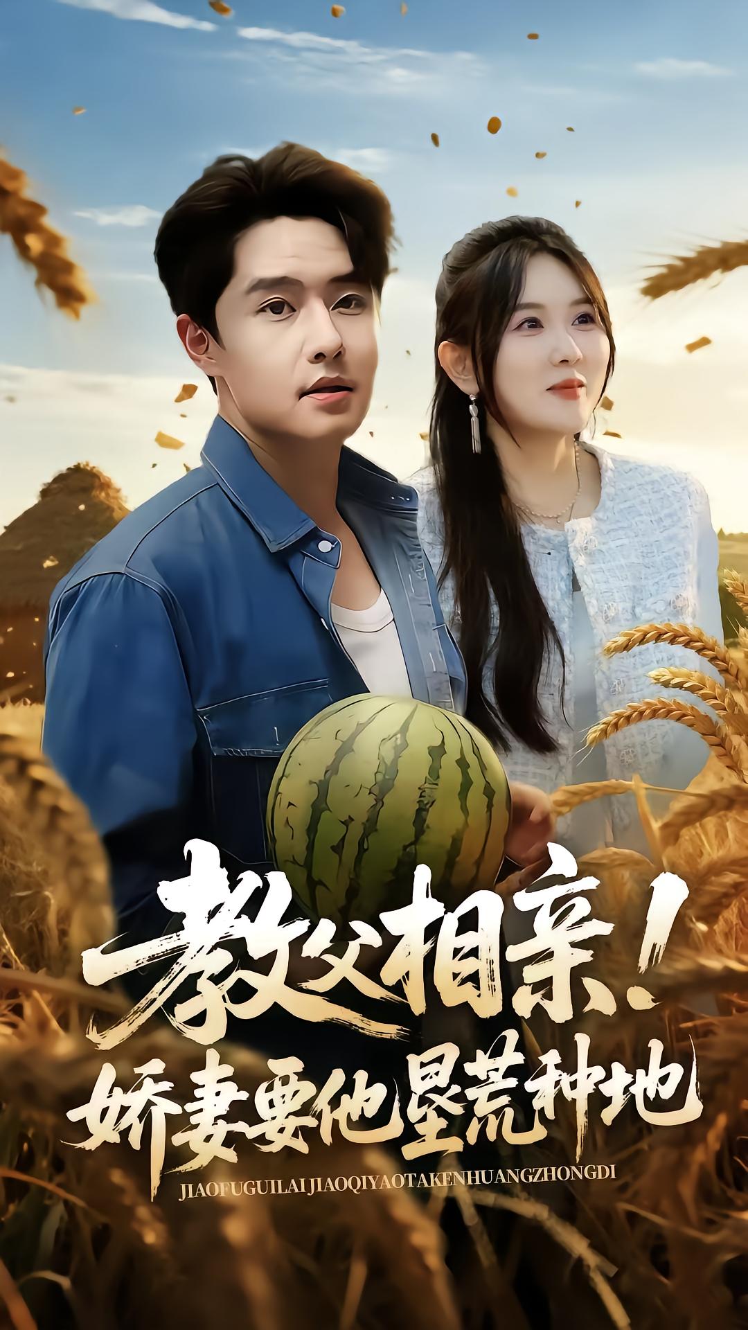 教父相亲娇妻要他垦荒种地(全集)