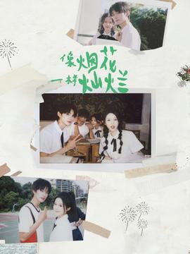 像烟花一样灿烂(全集)