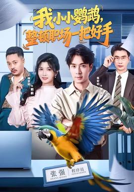 我小小鹦鹉，整顿职场一把好手(全集)