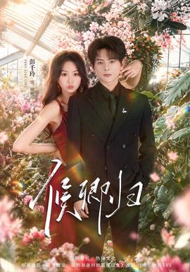 候卿归(全集)